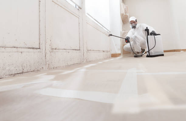 24/7 Emergency Attic Mold Remediation experts in Red Bank, NJ