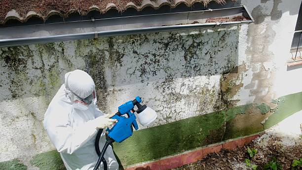 Top rated local Attic Mold Remediation specialists in Red Bank, NJ